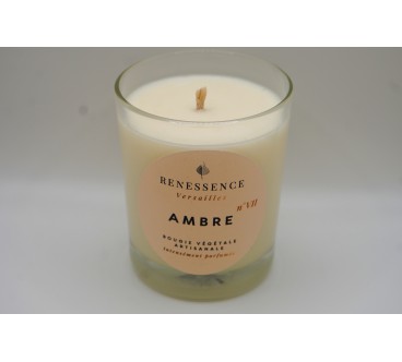 Ambre n°VII