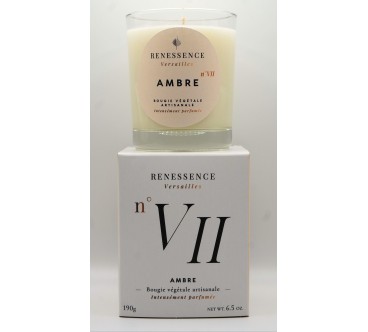 Ambre n°VII