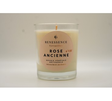 Rose Ancienne n°VIII